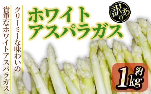 ＜先行予約！2026年3月上旬以降順次発送予定＞＜訳あり＞ホワイトアスパラガス(約1kg) 【man081】【Aglio nero】