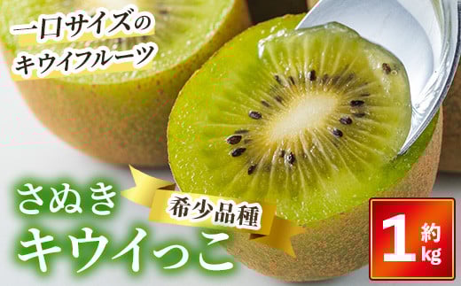 ＜先行予約！2025年11月中旬以降順次発送予定＞ さぬきキウイっこ (約1kg)【man179】【Aglio nero】