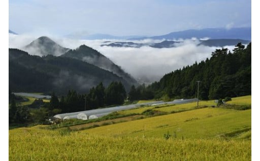 1. 山や川、田畑など農村の豊かな自然環境や文化を守るふるさとに