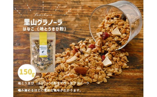 グラノーラ「はなこのグラノーラ(150g×1袋)」|シリアル オートミール 朝食 食品 地とうきび ナッツ フルーツ アーモンド クルミ カシューナッツ レーズン クランベリー 自家製干しりんご りんご 里山グラノーラ アイス トッピング おやつ お菓子 菓子工房 ナチュラル 自然の恵み 甘酸っぱさ 濃縮 グルメ お取り寄せ ギフト 国産 ミックス 人気 ギフト プレゼント 愛媛 久万高原町