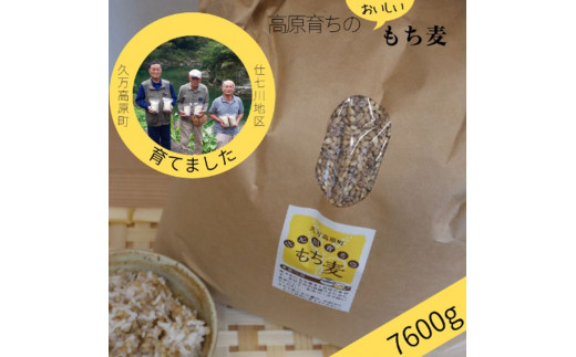 【仕七川育ちのもち麦 7,600g】清流と綺麗な土が育て、イナキ干しで仕上げた美味しいもち麦 ※着日指定不可