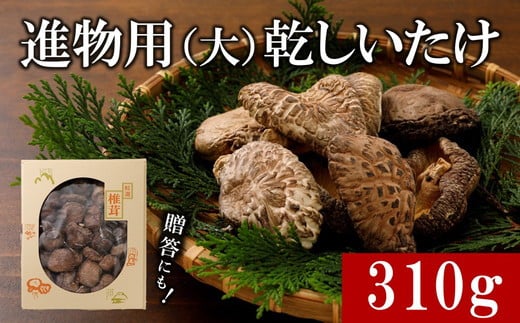 進物用乾しいたけ310g◇ | 原木栽培 干し椎茸 乾椎茸 どんこ しいたけ きのこ 出汁 肉厚 贈答 愛媛 久万高原町 ※離島への配送不可 ※2025年2月上旬より順次発送予定