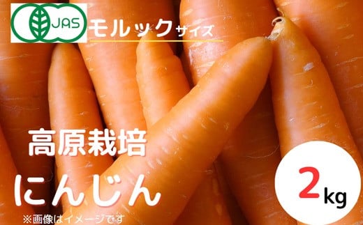 【産地直送】【先行予約】モルックサイズ!? 特大にんじん(紅奏)2kg | 人参 ニンジン ニンジンジュース 有機 JAS 高原野菜 久万高原町 ※離島への配送不可 ※2025年12月上旬~2026年2月上旬頃に順次発送予定