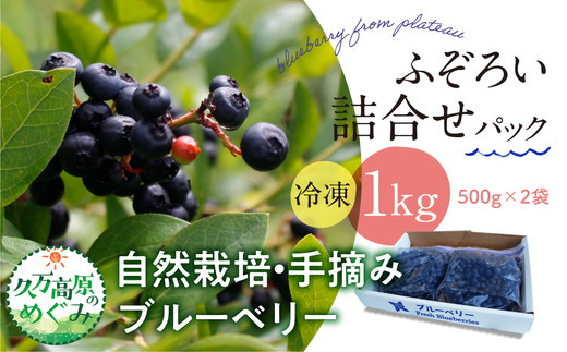 農園直送 不揃い手摘み 冷凍 ブルーベリー 500g×2袋 計1kg 使い方いろいろ | 愛媛県 久万高原町 廣瀬農園 自然派 高原栽培 国産 フルーツ ベリー おやつ 製菓用 スムージー ヨーグルト 朝食 ビタミンC 食物繊維 長期保存 ※離島への配送不可