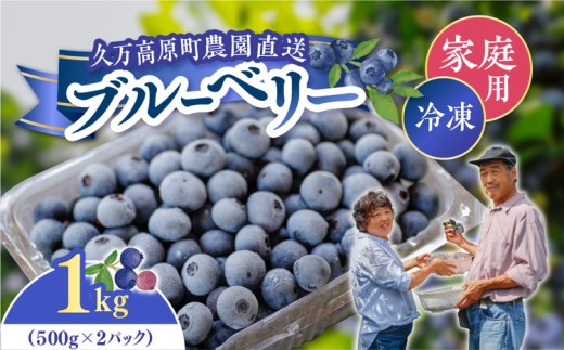 農園直送 手摘み 家庭用 冷凍 ブルーベリー 1kg | 愛媛県 久万高原町 青木農園 高原栽培 国産 フルーツ ベリー ジャム おやつ 製菓用 スムージー ヨーグルト 朝食 ビタミンC 食物繊維 長期保存 ※2025年10月上旬頃より順次発送予定