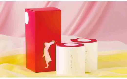 【A06006】うさぎ2ロールギフトボックス