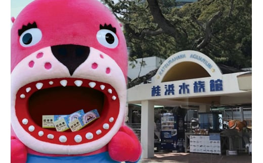 【B06037】桂浜水族館 入館券
