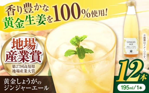 黄金しょうがのジンジャーエール12本/ 土佐生姜 スパークリング ジンジャーエール 爽やか【はるのTERRACE】 [ATAV002]