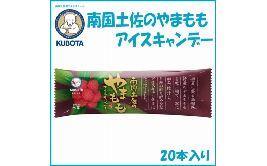 南国土佐のやまももアイスキャンデー　20本入【久保田食品】 サイズ3 アイス 添加物不使用 【グレイジア株式会社】 [ATAC261]　アイス キャンデー バラエティ 詰め合わせ スイーツ おやつ 高知 アイス お取り寄せ 人気