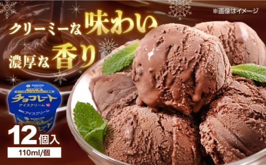 チョコレートアイスクリーム 12個入 / アイス アイスクリーム カップアイス 冷凍 チョコ チョコレート カカオ 濃厚 ベルギー産 詰め合わせ セット デザート スイーツ おやつ 高知 アイス お取り寄せ 人気 ギフト プレゼント 贈答 贈り物 【グレイジア株式会社】 [ATAC217]