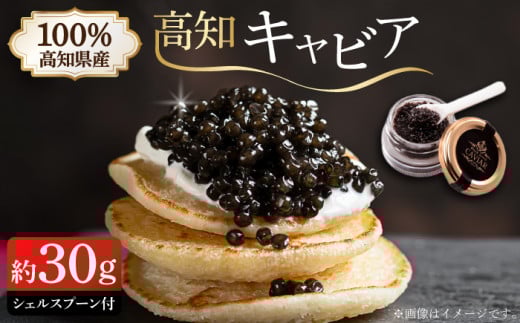 高知産熟成キャビア 約30g (化粧箱) シェルスプーン付Black Jewel 【興洋フリーズ株式会社】 [ATBX010]