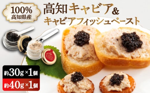 高知産熟成 キャビア＆キャビアフィッシュペースト 贈答セット / ギフト プレゼント チョウザメ 魚卵 珍味 高級 おつまみ オードブル パーティー  詰め合わせ 詰合せ お祝い 内祝い 記念日 高知 高知県 冷蔵【興洋フリーズ株式会社】[ATBX011]