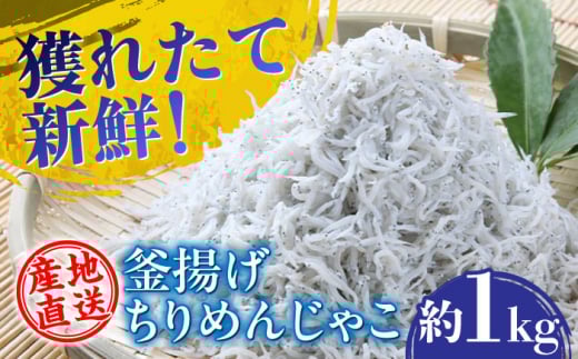 【産地直送】新鮮釜揚げちりめんじゃこ 約1kg 【土居海産】 [ATBT001]