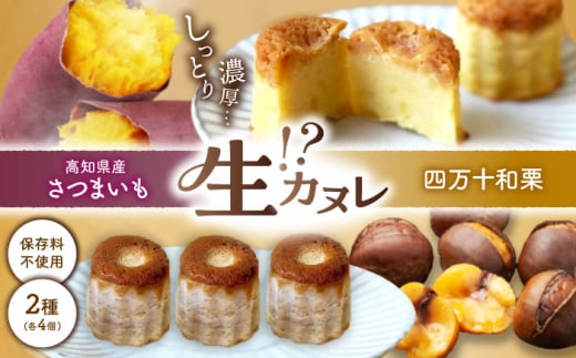 四万十和栗と西山金時の生カヌレ 添加物不使用 栗カヌレ×4個 西山金時カヌレ×4個 / カヌレ 生カヌレ 栗 くり クリ 和栗 四万十栗 西山金時 芋 さつまいも サツマイモ 洋菓子 セット 【和栗カフェ いちじゃもの】