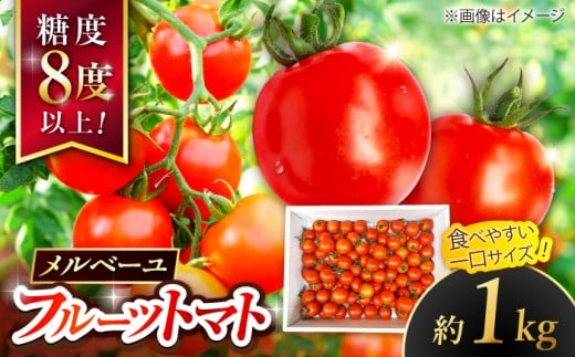 【先行予約】高知県高知市 フルーツトマト メルベーユ 約1kg 〈2025年12月中旬頃～発送〉 / 高糖度 トマト とまと フルーツトマト 野菜 【株式会社　四国健商】 [ATAF071]