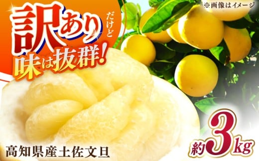 [先行予約]高知県産 訳あり 土佐文旦 約3kg [2026年2月〜発送] / 傷 シミの訳アリ 大容量 ぶんたん 文旦 訳あり わけあり 果物 [株式会社 四国健商] [ATAF151]