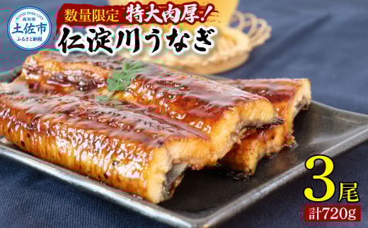 【数量限定】うなぎ うなぎ蒲焼き 国産 特大 3尾セット タレ付き 1尾200g超え 仁淀川 太化うなぎ おいしい 人気 冷凍 真空パック 夏