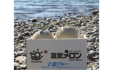 メロン 温室メロン 2玉 果物 くだもの めろん フルーツ デザート ギフト 贈答 プレゼント 仁淀ブルー 高知 土佐