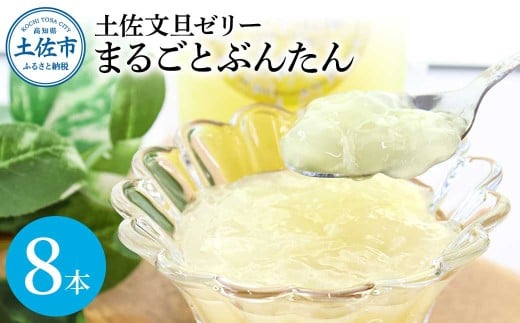 土佐文旦ゼリー『まるごとぶんたん』8本セット ゼリー飲料 ぜりー ブンタン ぶんたん フルーツ 果物 柑橘 みかん お菓子 おかし おやつ デザート スイーツ おいしい 爽やか シャーベット お取り寄せ
