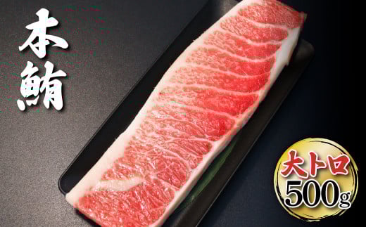 本マグロ 本鮪 大トロ500g トロ マグロ まぐろ 本まぐろ 刺身 刺し身 魚 天然 冷凍 美味しい おいしい 故郷納税 ふるさとのうぜい 返礼品 高知県 高知