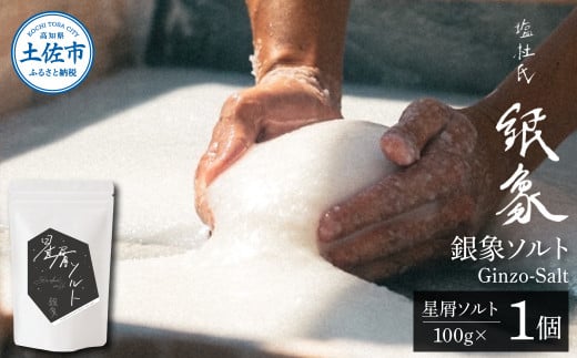 銀象ソルト Ginzo-Salt 星屑ソルト 100g 塩 しお 調味料 天日塩 完全天日塩 国産 高知県産 ソルト ミネラル 健康 料理 調理 お塩 塩 美味しい 天然 塩 高知県