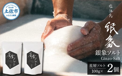 銀象ソルト Ginzo-Salt 星屑ソルト 100g×２個セット 合計200g 塩 しお 調味料 天日塩 完全天日塩 国産 高知県産 ソルト ミネラル 健康 料理 調理 お塩 塩 美味しい 天然