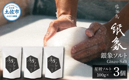 銀象ソルト Ginzo-Salt 星屑ソルト 100g×３個セット 合計300g 塩 しお 調味料 天日塩 完全天日塩 国産 高知県産 ソルト ミネラル 健康 料理 調理 お塩 塩 美味しい 天然