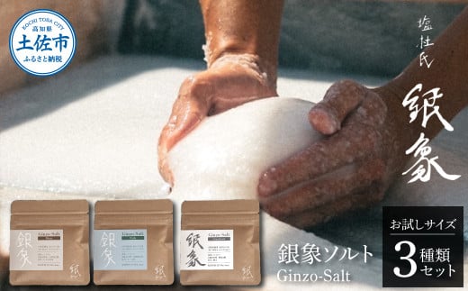 銀象ソルト Ginzo-Salt お試しサイズ３種類セット 塩 しお 調味料 天日塩 完全天日塩 国産 高知県産 ソルト ミネラル 健康 お試し セット スタンダード ミート フィッシュ 料理 天然