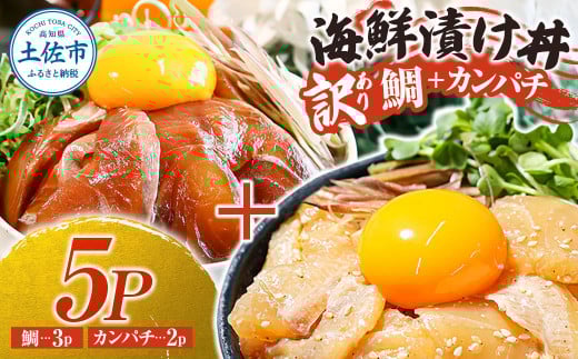 訳あり 海鮮漬け丼 セット タイ3P・カンパチ2P 計5パック 漬け丼 漬け 魚 海鮮 海鮮丼 醤油漬け 訳アリ わけあり 不揃い 規格外 人気 白身魚 食べ比べ 魚 冷凍 食品 保存食 小分け 一人暮らし 簡単 時短 鯛めし 惣菜 高知