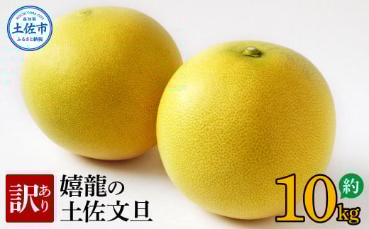 <2026年1月下旬より順次発送> 訳あり 嬉龍の土佐文旦 約10キロ L~4Lサイズ 文旦 ぶんたん ブンタン 柑橘 フルーツ 果物 わけあり わけアリ 傷 シミ 美味しい 高知県産