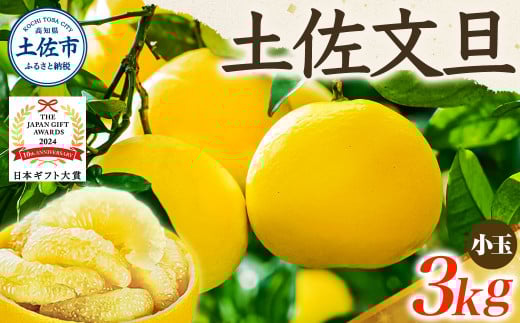 【日本ギフト大賞2024受賞】先行予約 園主こだわりの土佐文旦3キロ 小玉（L～Mサイズ） 2026年1月下旬より順次発送 家庭用 贈答用 ぶんたん ブンタン 柑橘 みかん フルーツ 果物 お取り寄せ 土佐 高知 やの一果彩 3kg 3キロ