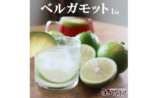<果樹園直送> 白木果樹園産 ベルガモット 約1kg 1キロ 5~8個入り 果物 くだもの 果実 柑橘類 柑橘 爽やか フレッシュ 新鮮 デトックスウォーター 紅茶 料理 お取り寄せ 国産