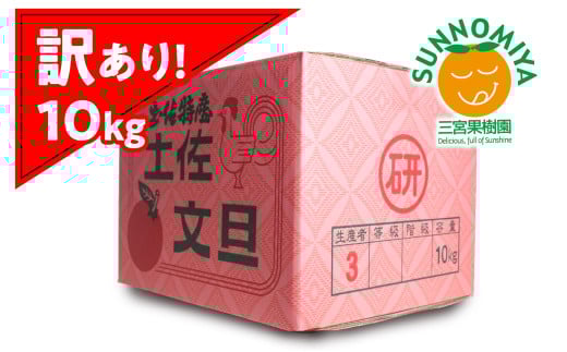 三宮果樹園の土佐文旦 訳あり 10kg ぶんたん ブンタン 10キロ 20玉前後 フルーツ 柑橘 みかん 果物 くだもの 柑橘類 デザート ご自宅用 ご家庭用 自分用 お取り寄せ わけあり 国産