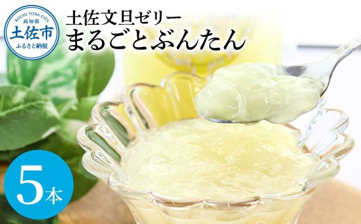 土佐文旦ゼリー『まるごとぶんたん』お試し5本セット ゼリー飲料 ぜりー ブンタン ぶんたん フルーツ 果物 柑橘 みかん お菓子 おかし おやつ デザート スイーツ おいしい 爽やか シャーベット お取り寄せ