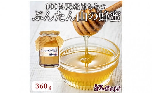 爽やかな香り広がる100%天然蜂蜜 ぶんたん山の蜂蜜 360g はちみつ ハチミツ 高知県産 国産 天然はちみつ 土佐 高知 【白木果樹園】