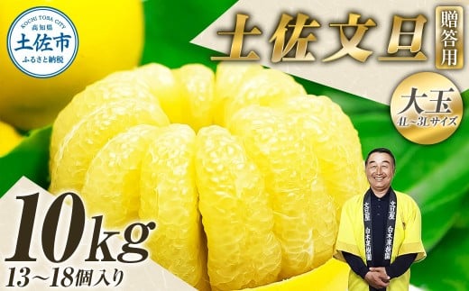 \果樹園直送/<白木果樹園産> 贈答品 土佐文旦 約10kg  大玉 4L~3Lサイズ (13~18個入り)
