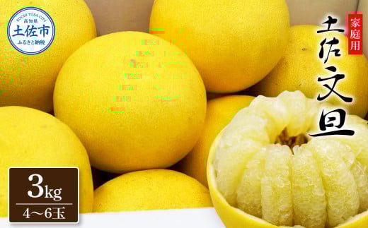 生産者直送　土佐文旦3.0kg[2L～4L]家庭用 【2026年1月下旬より発送】 家庭用 文旦 柑橘 みかん フルーツ  果物  産地直送 お取り寄せ 人気  美味しい 名産 ふるさと納税 送料無料 返礼品 高知県 高知