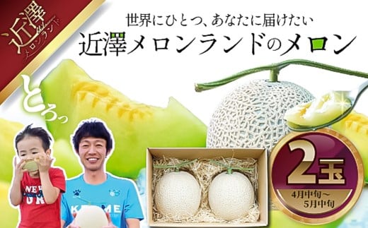 先行予約 メロン 2玉入り(1玉約1.4kg~1.8kg)青肉 2026年春発送 期間限定 メロン めろん マスクメロン 舐瓜 果物 くだもの フルーツ デザート 旬 ハウス栽培 常温配送