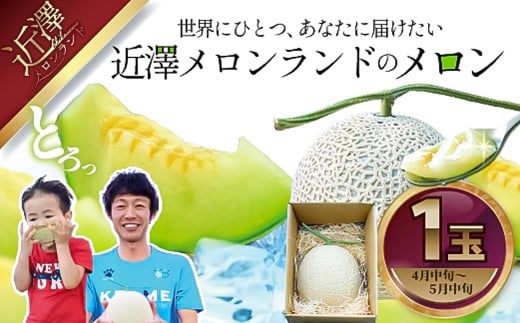 先行予約 メロン 1玉入(約1.4kg~1.8kg)青肉 2026年春発送 期間限定 メロン めろん マスクメロン 舐瓜 果物 くだもの フルーツ デザート 旬 ハウス栽培 常温配送