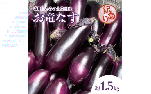 森田さんちの土佐市産お竜なす 訳あり 約1.5kg 1.5キロ 16~21本 1本約80g 茄子 ナス なすび 野菜 新鮮 焼き茄子 煮浸し 漬物 浅漬け ぬか漬け 味噌汁 おかず 訳アリ ご自宅用