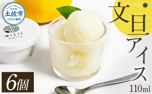 文旦アイス 6個入り 1個110ml ブンタン ぶんたん フルーツ 果物 柑橘 みかん お菓子 おかし おやつ デザート スイーツ ギフト おいしい 爽やか シャーベット お取り寄せ 冷凍 配送
