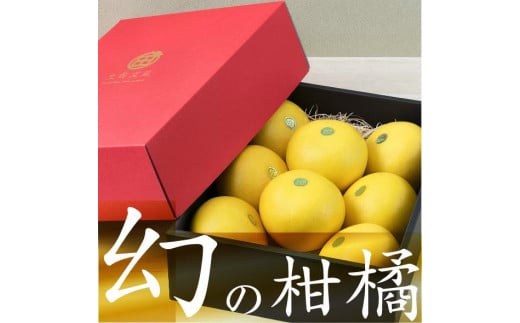 秀品 ☆高知産 土佐文旦☆ 2L 8玉入【贈答用】