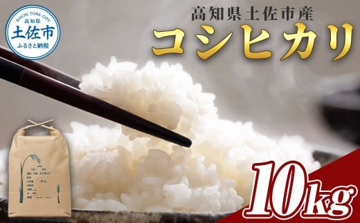 コシヒカリ 10kg 10キロ 精米 白米 お米 ご飯 ごはん 米 kome こめ こしひかり 高知県産 国産 お取り寄せ 常温 高知県 高知 土佐市