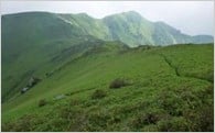 2．やすらぎコース（福祉、環境）