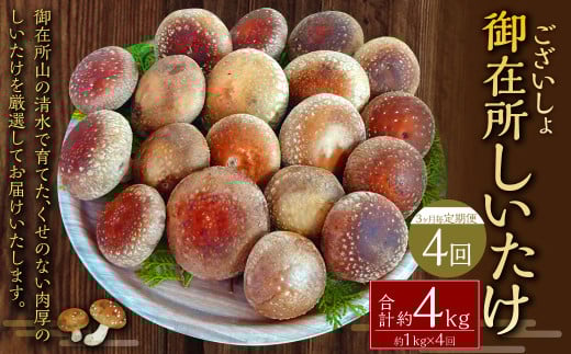 【3ヶ月毎 4回定期便】御在所肉厚生しいたけ 計約4kg 1回あたり約1kg(計4回) 生しいたけ しいたけ 椎茸 シイタケ 肉厚 山菜 お取り寄せ 冷蔵