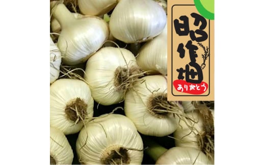 106004 新にんにく 1kg 季節限定 選べる 5kg 2kg 新にんにく ガーリック スタミナ 新鮮 健康 薬味 冷蔵/高知県 奈半利町