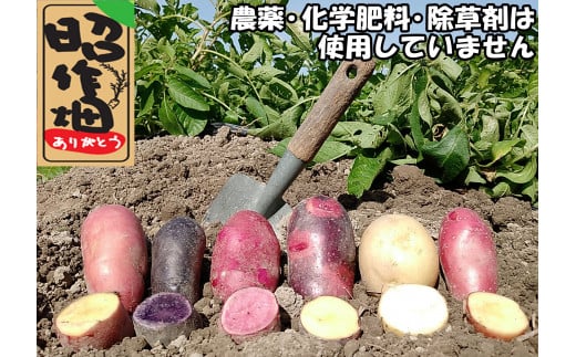 106001 じゃがいも食べ比べセット5kg (3~5種類) 新じゃが じゃがいも 新鮮 産地直送 季節限定 季 春野菜 5kg 食べ比べセット/高知県 奈半利町