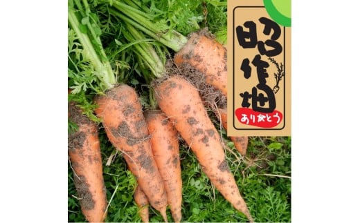 106006 土付きにんじん2kg  人参 掘りたて 季節限定 新鮮 健康 産地直送/高知県 奈半利町