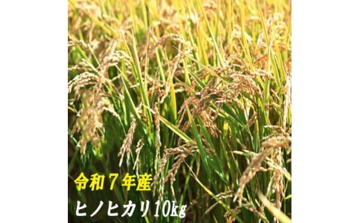 120001-7 【令和7年産】ヒノヒカリ 10kg
