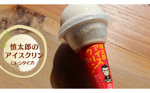 慎太郎アイスクリンコーン10個【1508081】